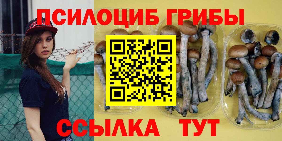 Псилоцибиновые грибы GOLDEN TEACHER Ярцево